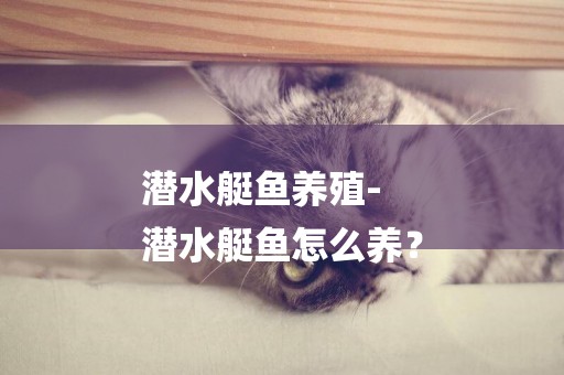 潛水艇魚養殖-
潛水艇魚怎么養？