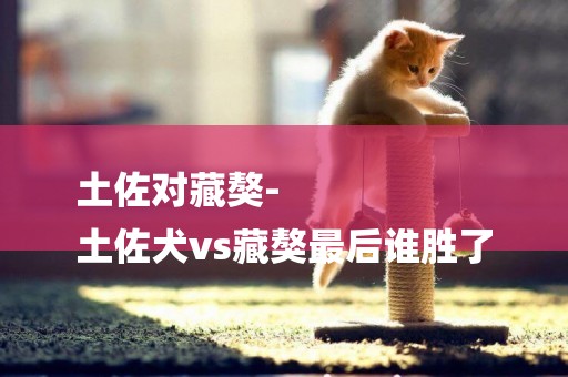 土佐對藏獒-
土佐犬vs藏獒最后誰勝了