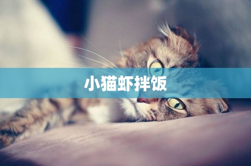 小貓蝦拌飯