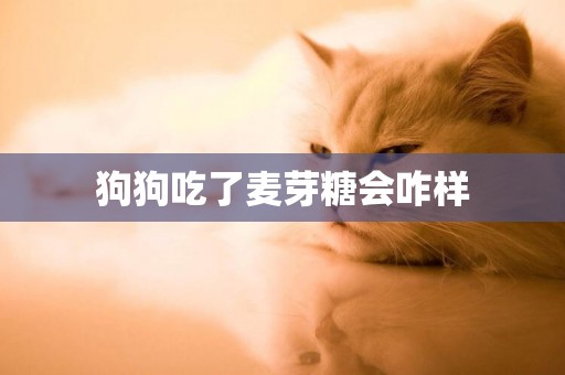 狗狗吃了麥芽糖會咋樣