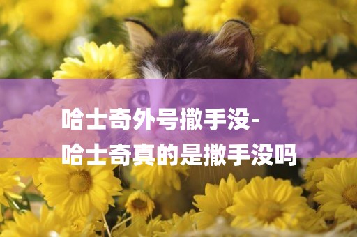 哈士奇外號撒手沒-
哈士奇真的是撒手沒嗎