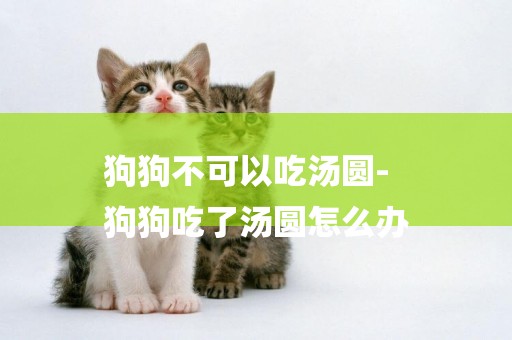 狗狗不可以吃湯圓-
狗狗吃了湯圓怎么辦