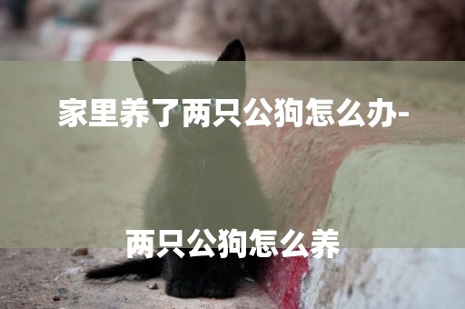 家里養了兩只公狗怎么辦-
兩只公狗怎么養