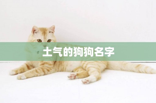土氣的狗狗名字