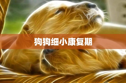 狗狗細小康復期