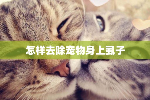 怎樣去除寵物身上虱子