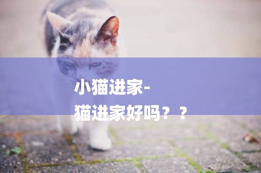 小貓進家-
貓進家好嗎？？