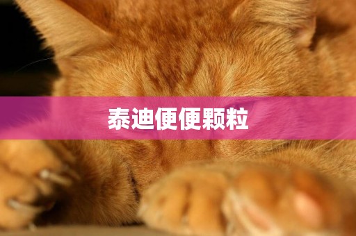 泰迪便便顆粒