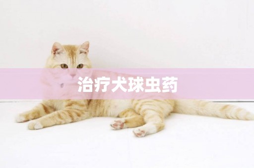 治療犬球蟲藥