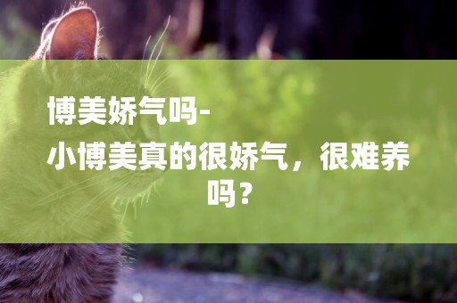 博美嬌氣嗎-
小博美真的很嬌氣，很難養嗎？
