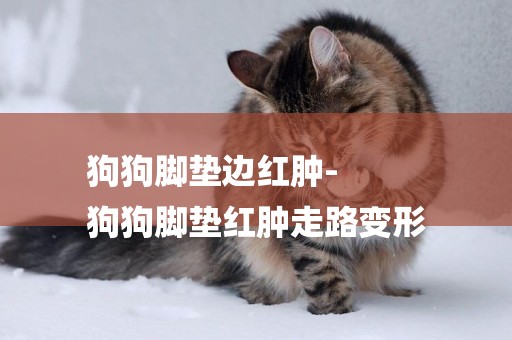 狗狗腳墊邊紅腫-
狗狗腳墊紅腫走路變形