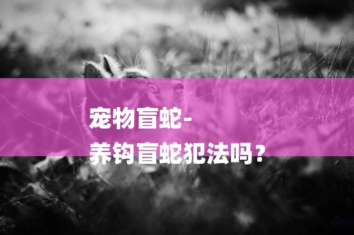 寵物盲蛇-
養鉤盲蛇犯法嗎？