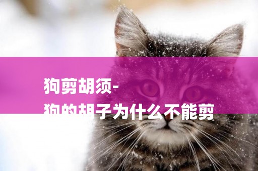 狗剪胡須-
狗的胡子為什么不能剪