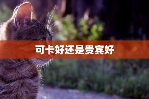 可卡好還是貴賓好
