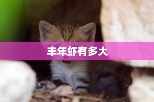 豐年蝦有多大