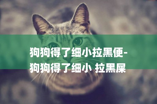 狗狗得了細小拉黑便-
狗狗得了細小 拉黑屎