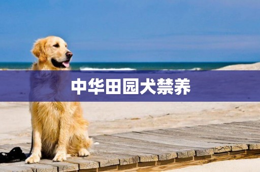 中華田園犬禁養