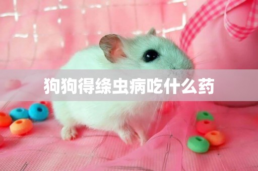 狗狗得絳蟲病吃什么藥