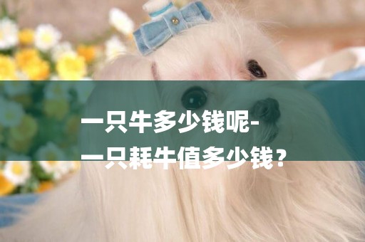一只牛多少錢呢-
一只耗牛值多少錢？