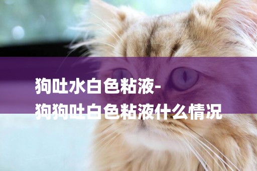 狗吐水白色粘液-
狗狗吐白色粘液什么情況