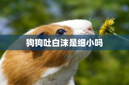 狗狗吐白沫是細小嗎