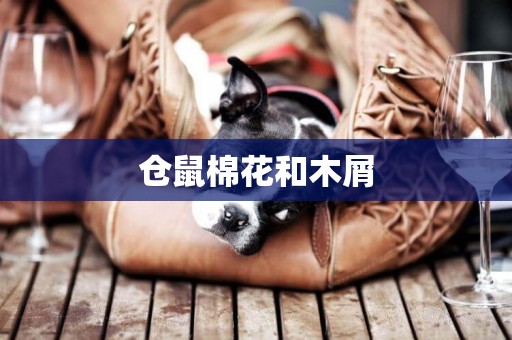 倉鼠棉花和木屑