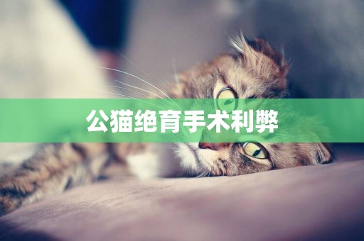 公貓絕育手術利弊