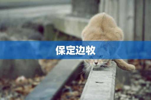 保定邊牧