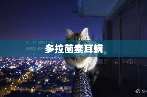 多拉菌素耳螨