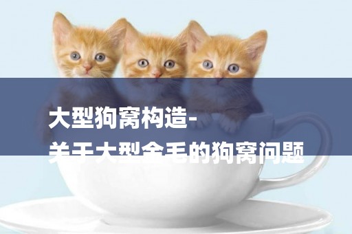大型狗窩構造-
關于大型金毛的狗窩問題