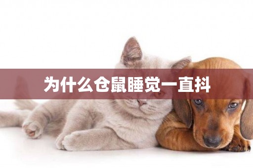 為什么倉鼠睡覺一直抖