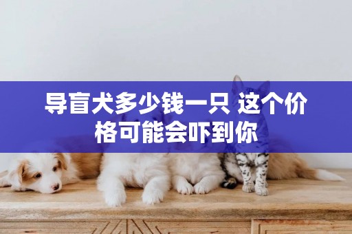 導盲犬多少錢一只 這個價格可能會嚇到你