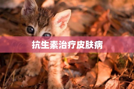 抗生素治療皮膚病