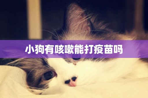 小狗有咳嗽能打疫苗嗎
