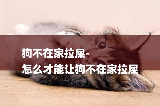 狗不在家拉屎-
怎么才能讓狗不在家拉屎