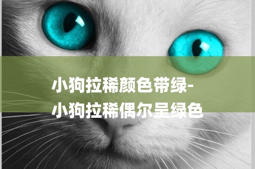小狗拉稀顏色帶綠-
小狗拉稀偶爾呈綠色