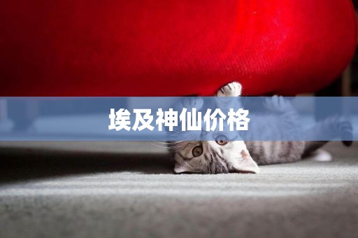 埃及神仙價格
