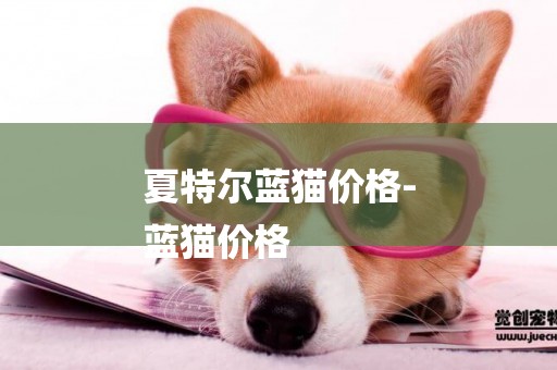 夏特爾藍貓價格-
藍貓價格