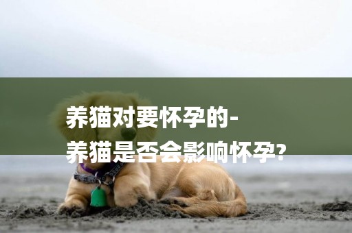 養貓對要懷孕的-
養貓是否會影響懷孕?