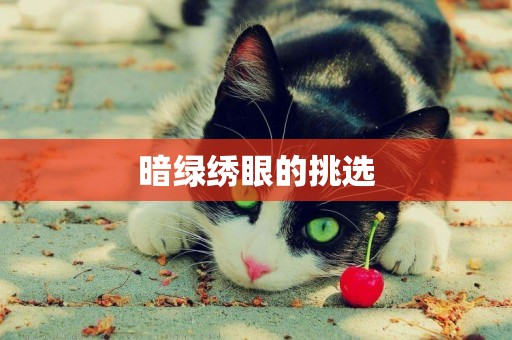 暗綠繡眼的挑選