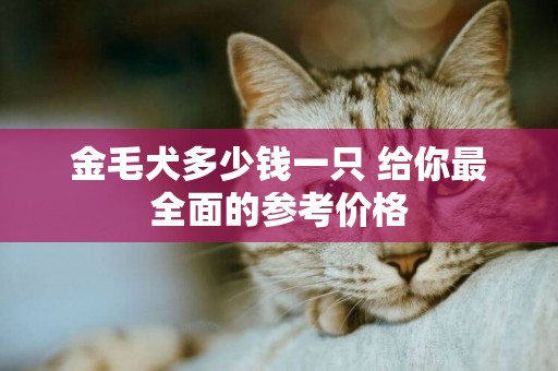 金毛犬多少錢一只 給你最全面的參考價格