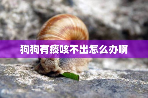 狗狗有痰咳不出怎么辦啊