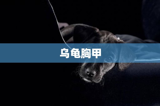 烏龜胸甲