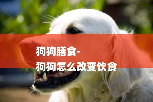 狗狗膳食-
狗狗怎么改變飲食