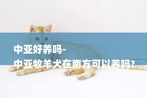 中亞好養嗎-
中亞牧羊犬在南方可以養嗎?