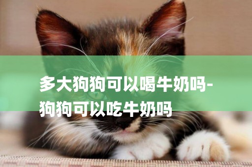 多大狗狗可以喝牛奶嗎-
狗狗可以吃牛奶嗎
