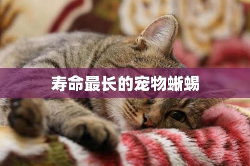 壽命最長的寵物蜥蜴