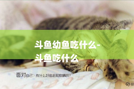 斗魚幼魚吃什么-
斗魚吃什么