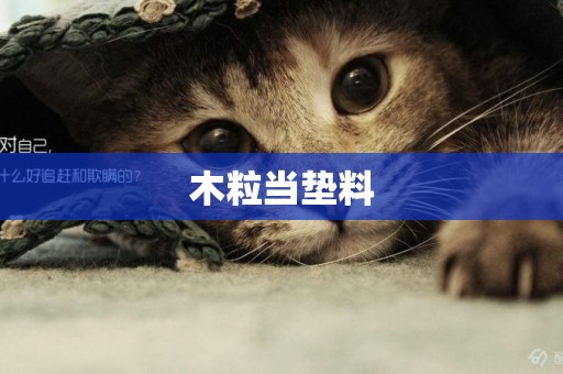木粒當墊料