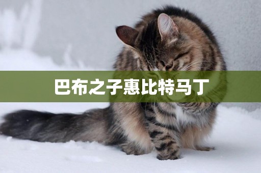 巴布之子惠比特馬丁
